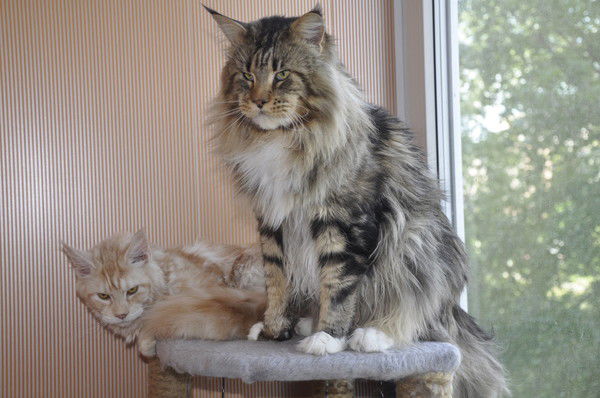 Оксана Кирсанова