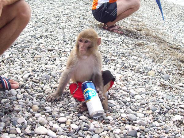 Максим Мартынов