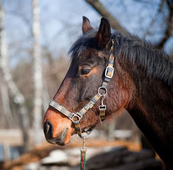 Ксения Кузнецова