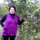 Елена Селиванова