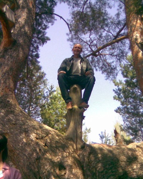 Сергей Богомолов