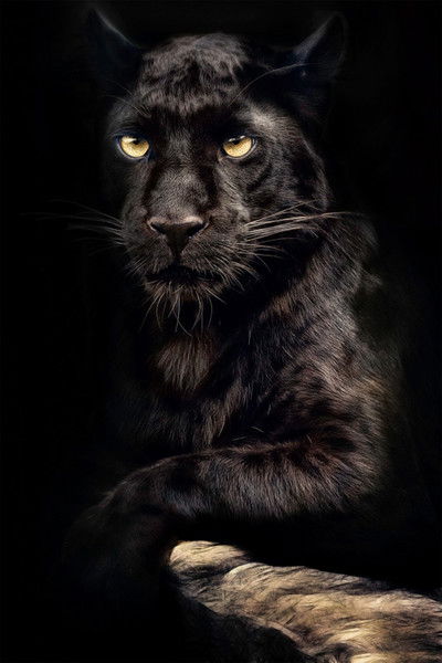 _•°С_•° _•°М_•°