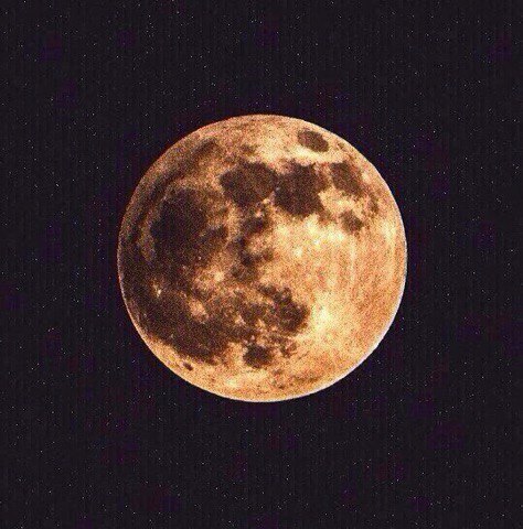 Лилия Сельвич