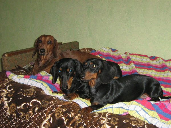 Наталья Павлова