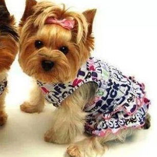 Нино Лакербая