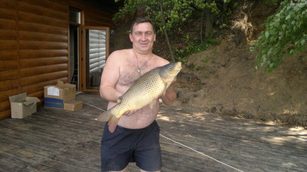 Николай Кушнир