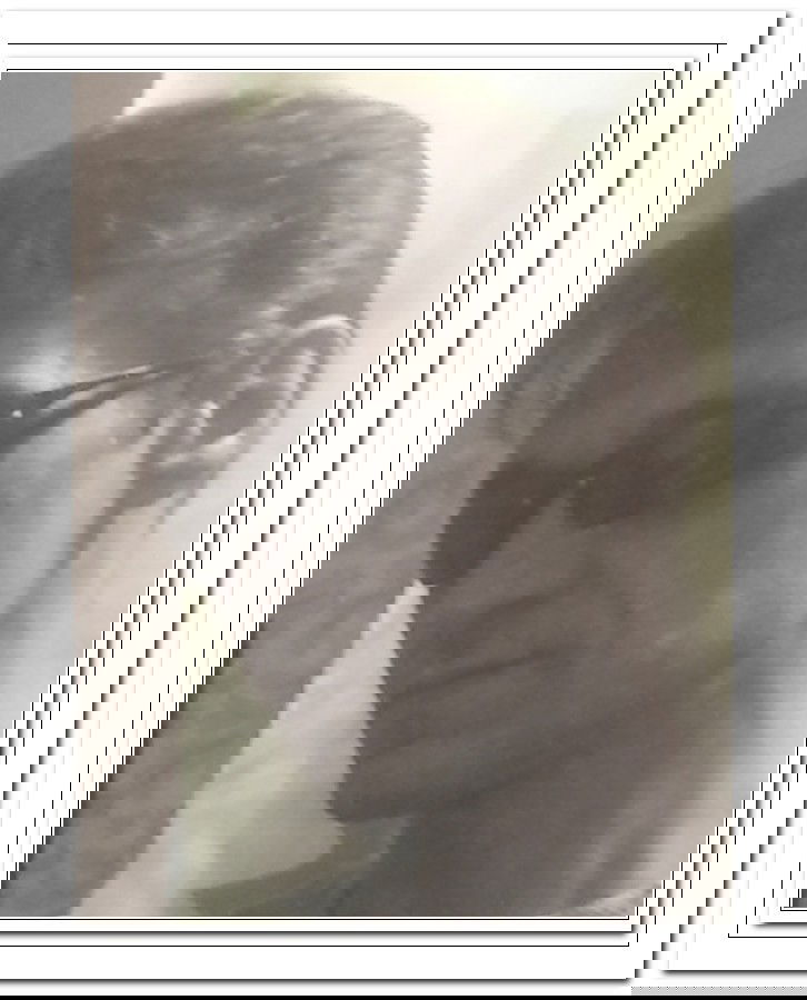 Олег Пелевин