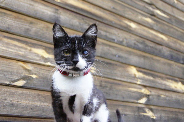 Анна Судакова