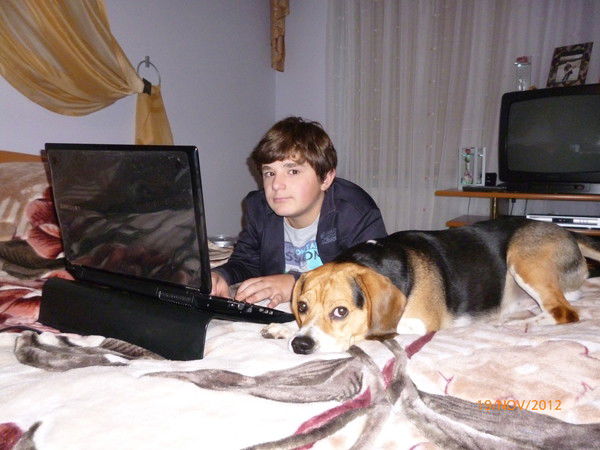 Виллиам Золотых