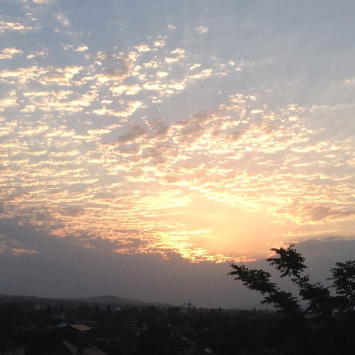 Джамиля Исаева