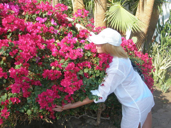 Альфия Даминова