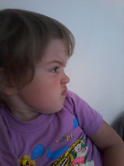 Елена Лапицкая