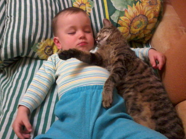 Константин Морозов