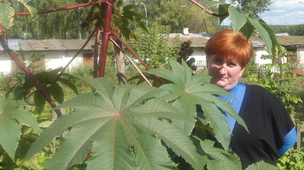 Наталья Бубнова