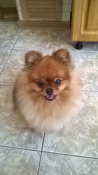 Сергей Спиридонов