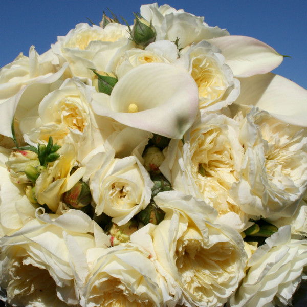 Серик Самуратов