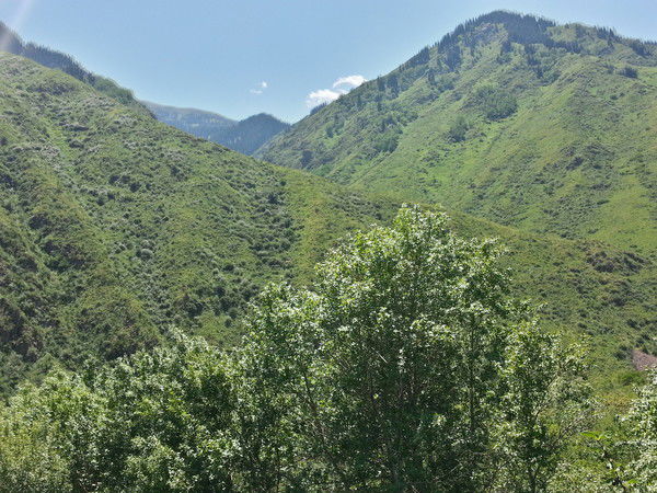 Бибигуль Тутаева