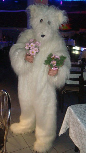 Медведица Большая