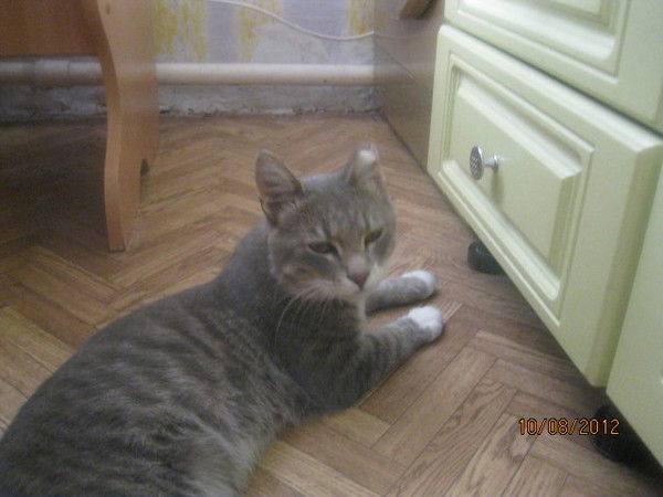 Николай Бабиев