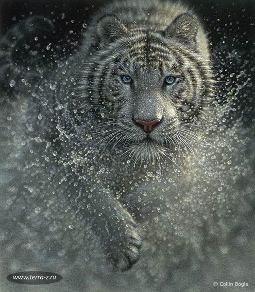 Тетяна Хоменко