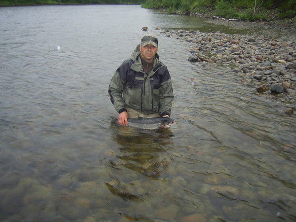 Владимир Ермолаев