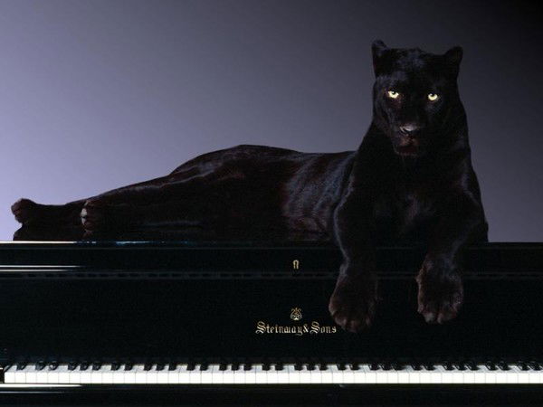 Людмила Туробова