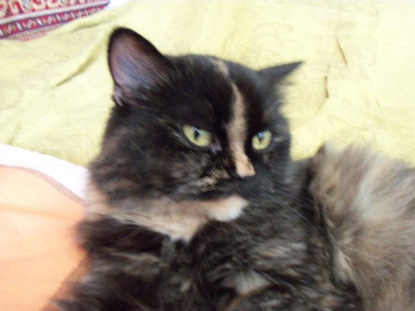 Тамара Журавлева