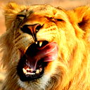 Николай Егорнов