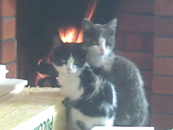 Максим Тимофеев