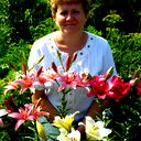 Елена Богачева