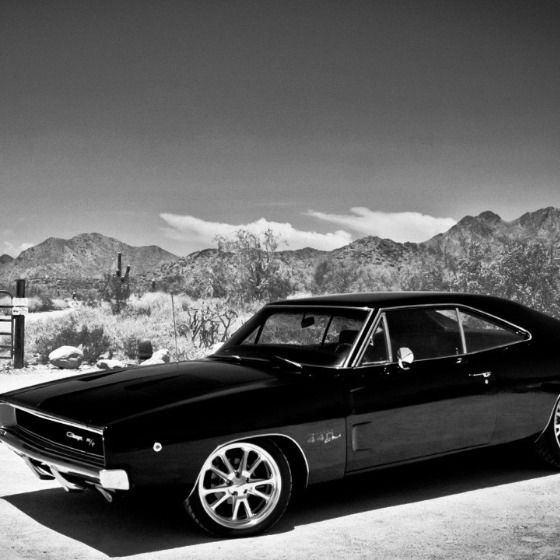 Евгений Белицкий