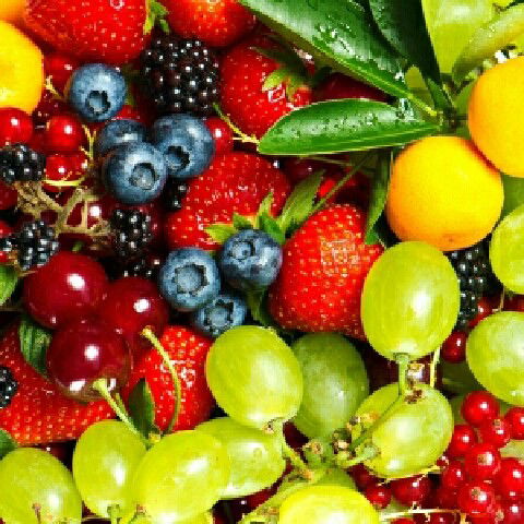 Ольга Щербина