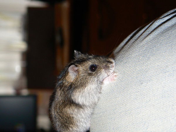 Игорь Иванов