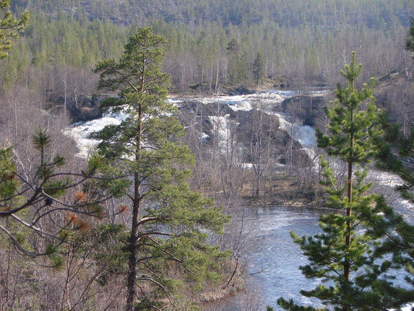 Валера Пурменцев