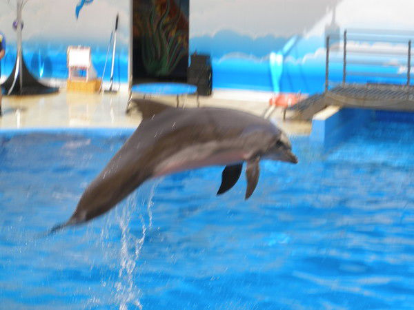 Александр С