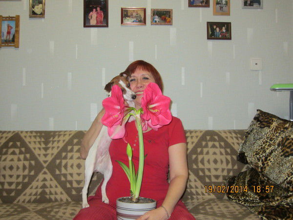 Елена Соколова