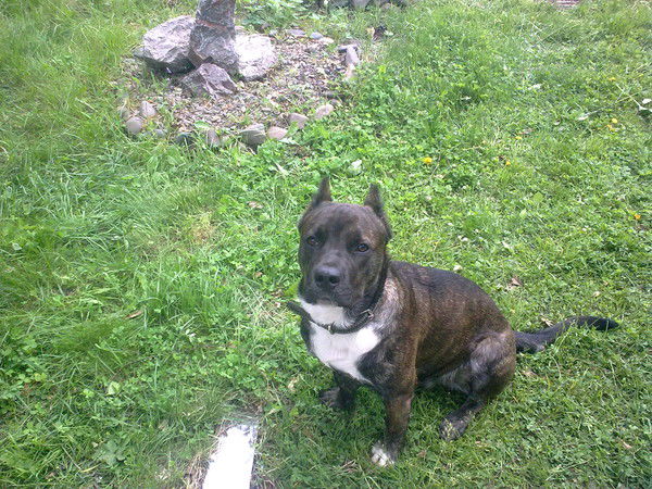 Юра Кульчицкий