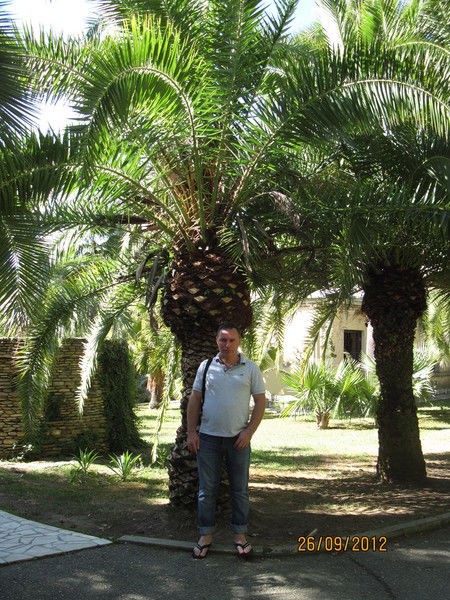 Николай Сидоров