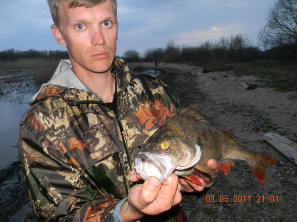 Александр Арсёнов