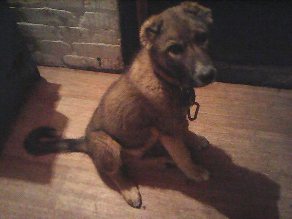 Куаныш Хамзинов