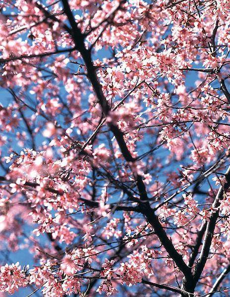 Татьяна Козлова