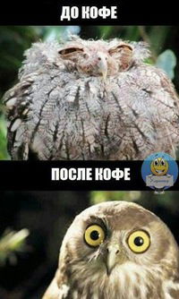 Лариса Кушхова