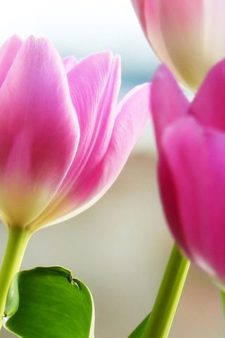 ?????? ?????????????????