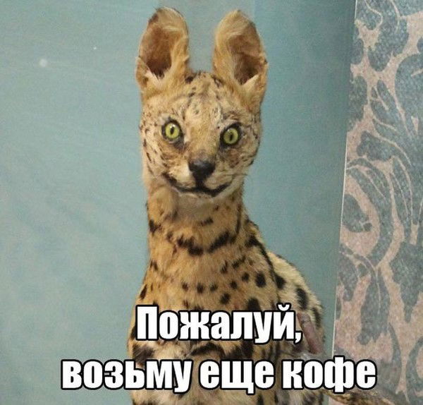 Сеня Сеницкий