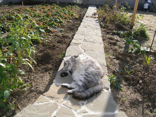 Ольга Превысокова