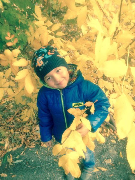 Илья Матвеев