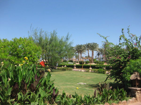 Елена Лисиченко