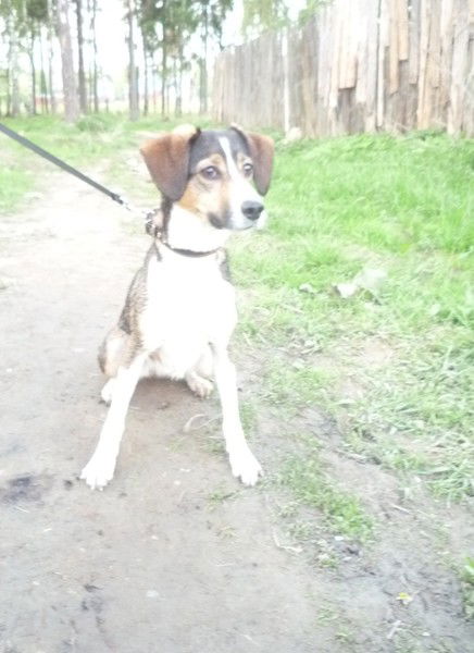 Наталья Ивановна