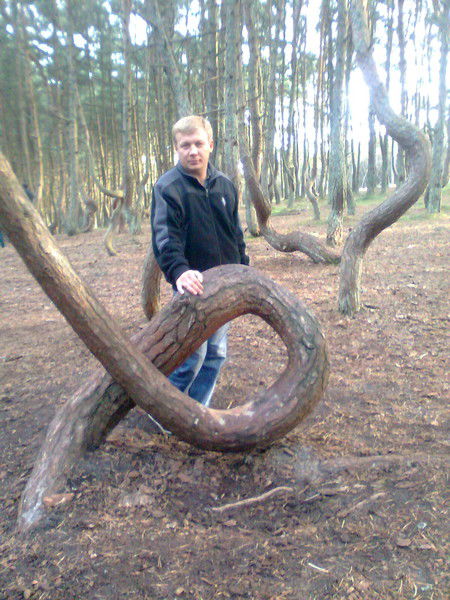 Александр Суюменко