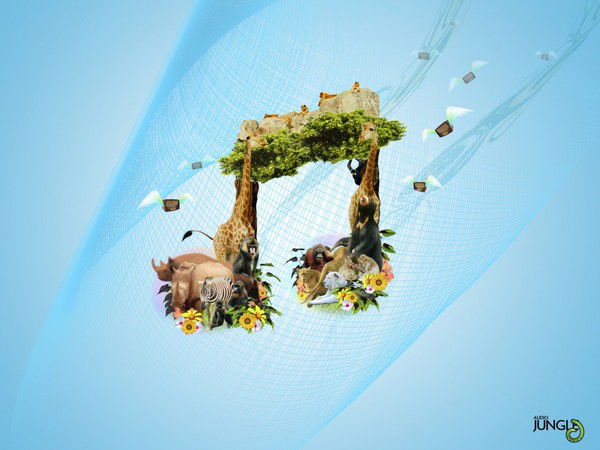 Дима Китаев